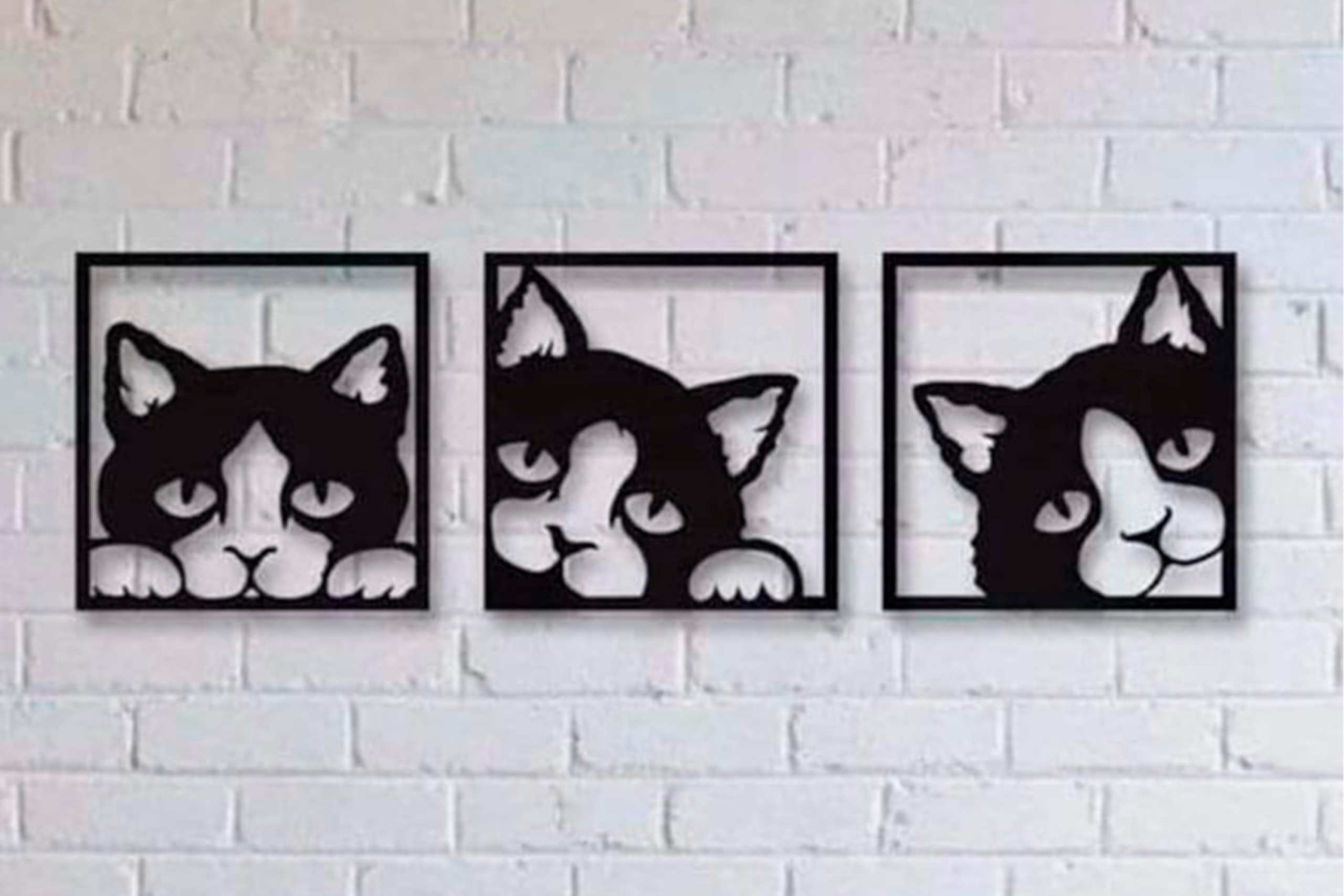 Típtico Gatos - Imagen 1