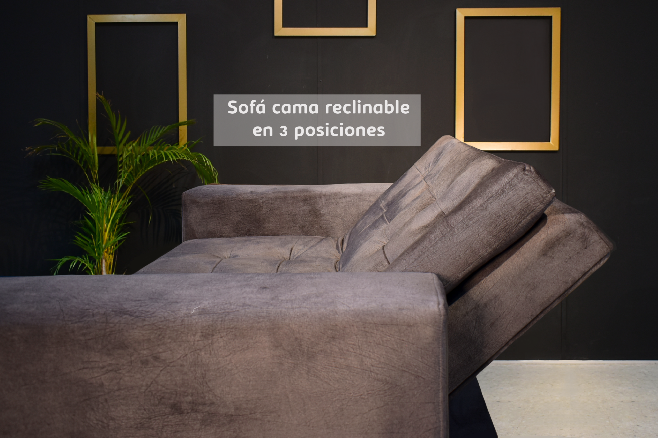 Sofá Cama Apolo - Imagen 3